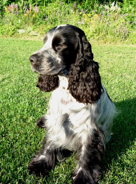 21.7.2009 postoje 044.jpg